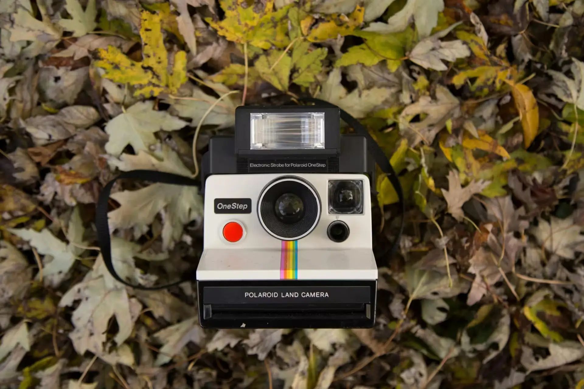 Foto 2 Polaroids: What Actually Are They And How Do I Take One?