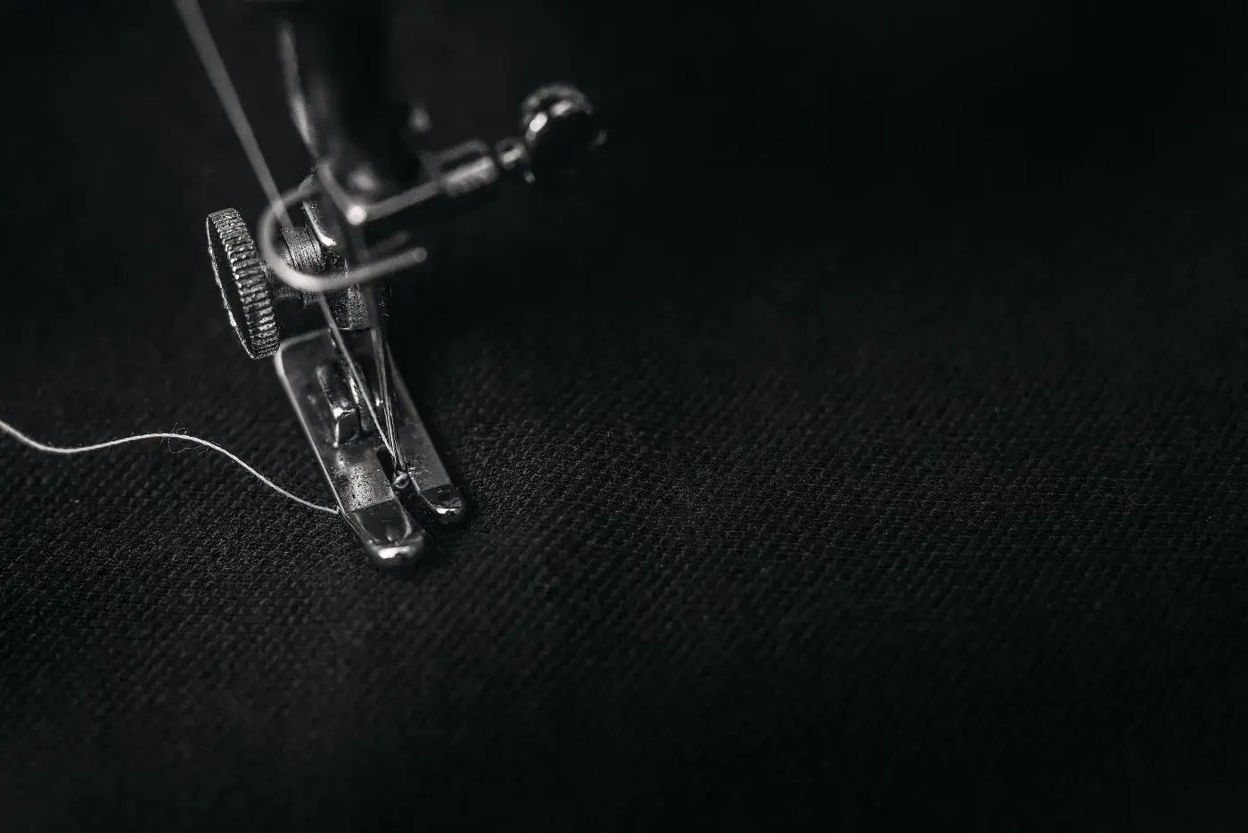 Foto 3 Fashion Designers: What Characterises The Creative World Changers!
