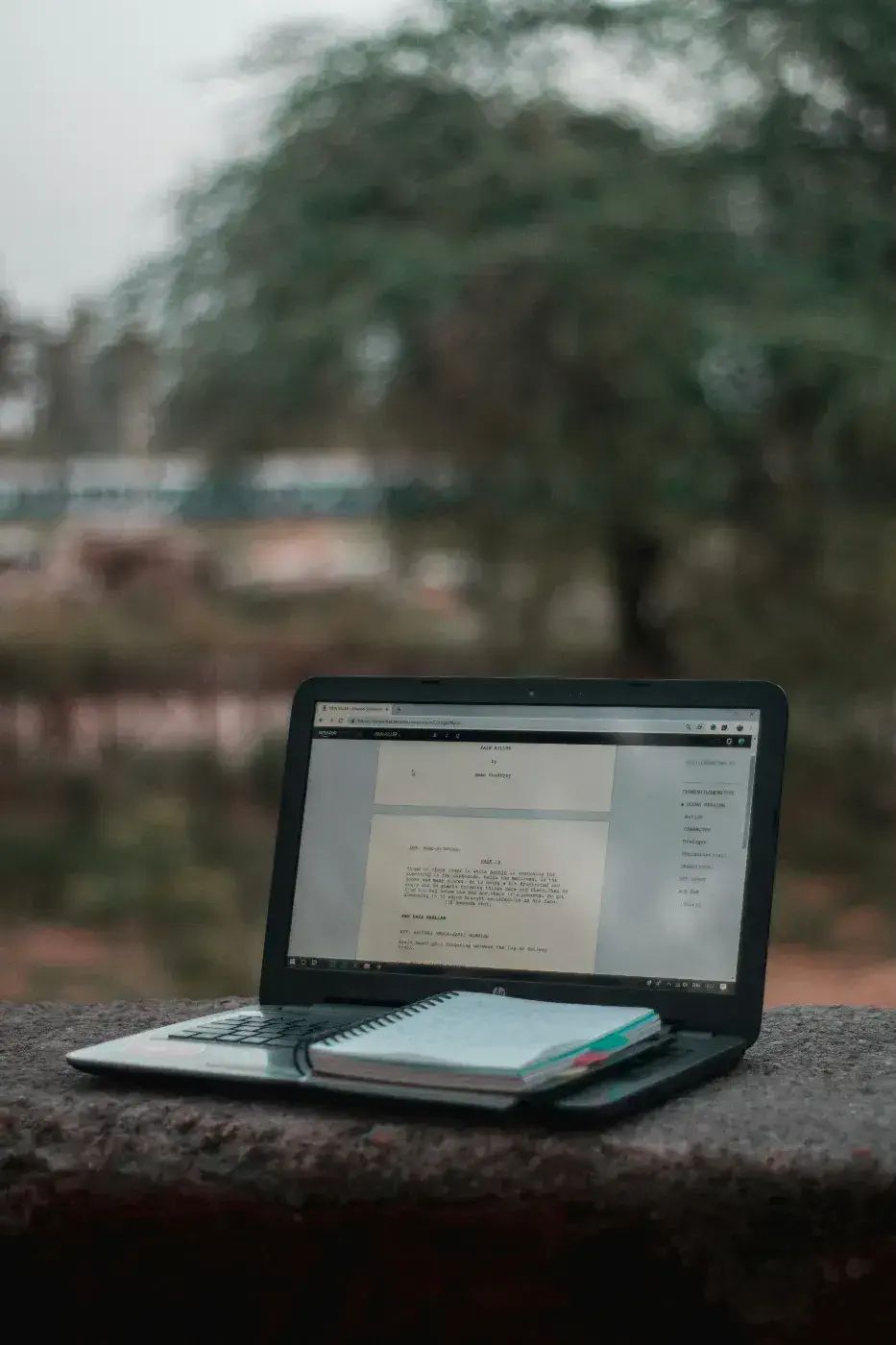 Foto 1 Screenplay - The Textual Basis Of Films And Series