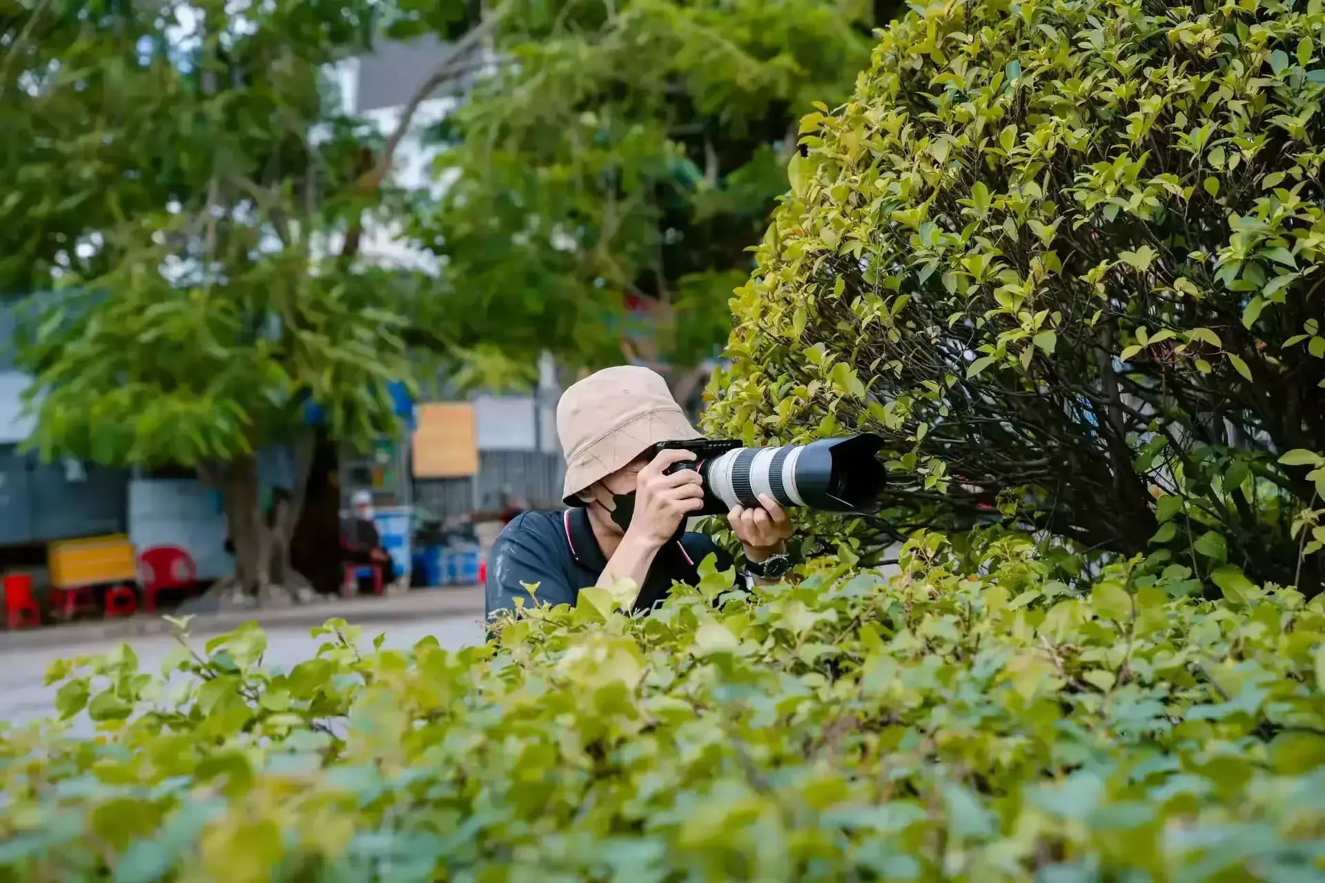 Foto 2 Paparazzi - How far can they go?